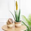 1Pc Straw Weaving Flower Plant Pot Wicker Basket Rattan Flowerpot Storage Basket Garden Flowerpot Handmade Woven Planter Basket