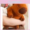Cute And Adorable New Breathable Bear Capybara Plush Toy With Music For Kids