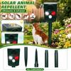 Animal for Cats and Dogs - Infrared Detection Outdoor Yard