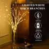 Lighted White Birch Branches with Timer 33IN 180 LED Twig Birch Branches for Vase Chriatmas Decor Artificial Birch Tree Branch Holiday Parent (Birch