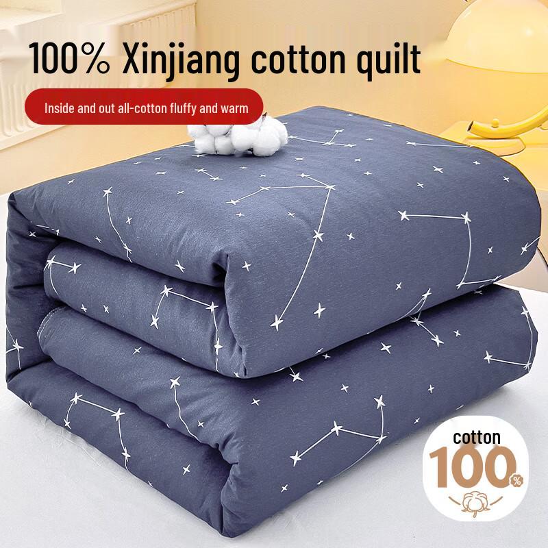 

Yun Jin Autumn/Winter Warm Quilt with 100% Cotton Cover 150x200cm