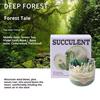 Scented Candles DIY Succulent Fragrance Indoor Lasting Fragrance
