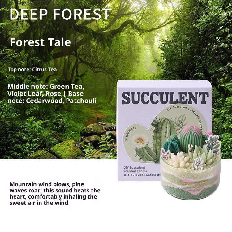 Scented Candles DIY Succulent Fragrance Indoor Lasting Fragrance
