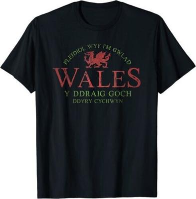 NEW LIMITED Rugby Welsh Red Dragon Flag of Wales T-Shirt Tops Tee