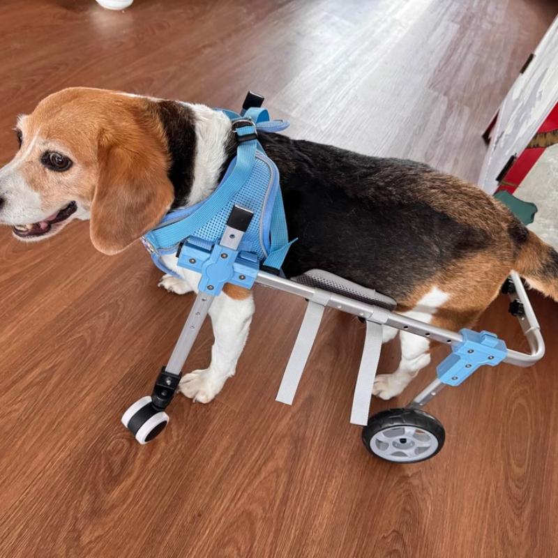 Adjustable Dog Hind Leg Wheelchair Disabled Pet Walker with Hind Leg Support and Hip Support Dog/Cat Hind Leg Auxiliary Vehicle