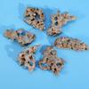 1pcs 4-6cm Natural Aquarium Decor Stone Rockery Landscaping Fish Tank Microporous Stone Good for Plants Growth