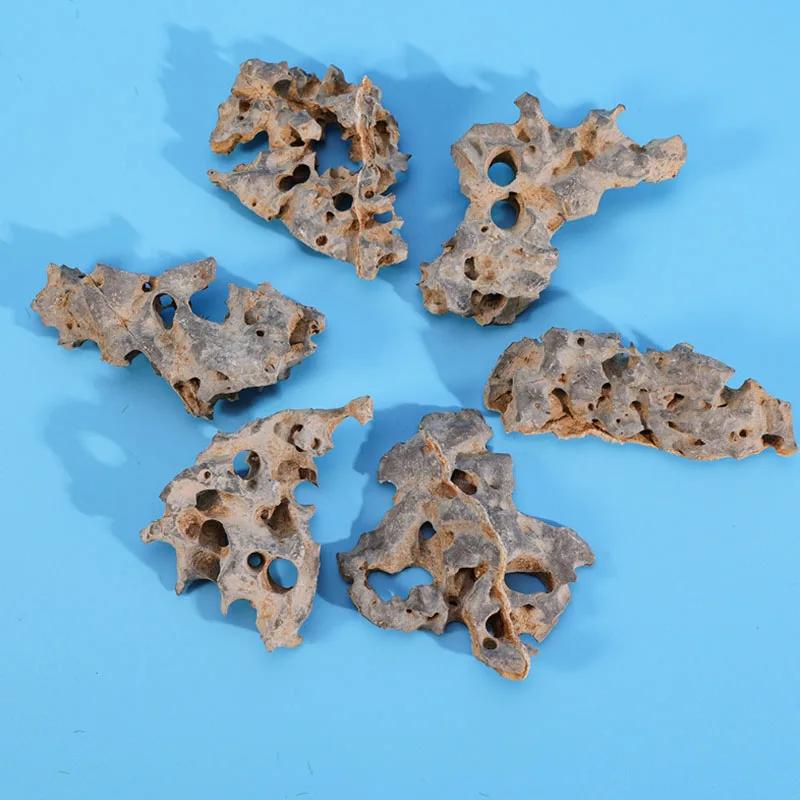 1 Stück 4-6cm Natürlicher Aquariendekor Stein Felsengarten Landschaftsgestaltung Fischbecken Mikroporöser Stein Gut für Pflanzenwachstum