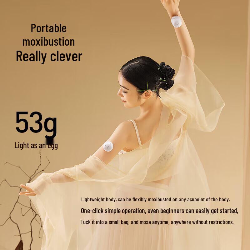 Breo Portable Mini Moxibustion Device TP-501 CN plug (adapter included)