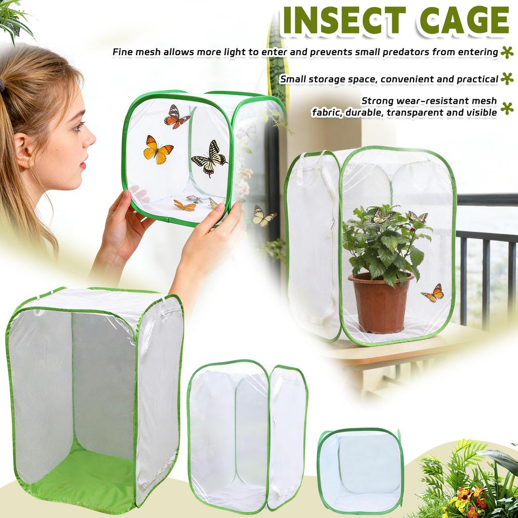 Foldable Insect Breeding And Observation Cage. Breathable Mesh Design Escape. Made Of Safe And Materials. Suitable For Small Such As