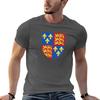 Henry V Royal Arms Of England (13991603) Tshirt T Shirts For Unisex Graphic Funny T Shirt Unisex Designer Unisex Tshirt Tshirt