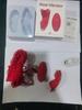Wearable Rose Vibrator for Women - Strong Internal Vibration, Wireless Remote Control, Non-Enlarging Design.