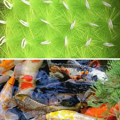 6pcs Set of High Quality Fish Tank and Fish Pond Filter Brushes Advanced PET High Density Aquarium Filter Brush - Water Purification and Silencer