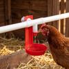 10 Sets High Quality Plastic Automatic Poultry Drinker Durable Chicken Water Feeder  Bird