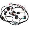 Complete Electrics Wire Harness Kit Stator for Dirt Bike Scooter ATV