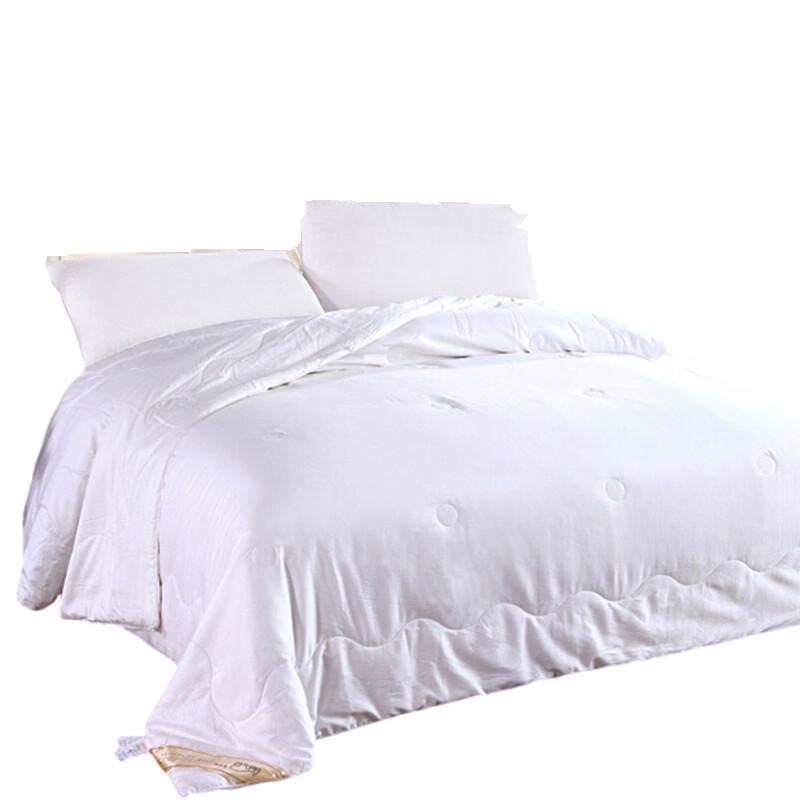 YIYIAI Silk-like Polyester Spring/Autumn Quilt