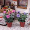 New 1/12 Dollhouse Simulation Flower Potted Model Dollhouse Micro Landscape Garden Scene Ornament Doll House Decoration Toys