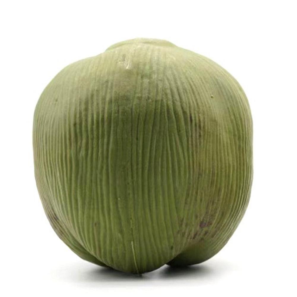 Simulation Coconut Plastic Fake Coconut Fruit Vegetable Model Photography Display Early Education Toy Hainan Scene Decoration