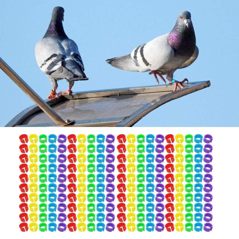 200x Bird Leg Rings for Small Poultry Chicken for Lovebirds Quail Small Poultry