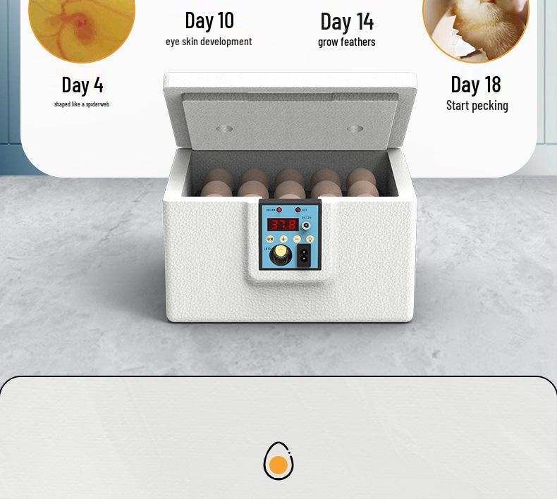 Smart Automatic Incubator for Quail, Duck, and Goose Eggs - Compact and Intelligent Hatching Machine for Home Use