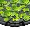 Floating Plant Corral Guard 24" Fish Netting Barrier Pond Planter Protector 18" 31" Ring Mesh for Garden Ponds Aquatic