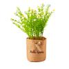 1Pc Potted Plant Northern Europe Simulated Flower Holiday Gifts Weave Modern Simplicity Hangings Home Decoration Plastic