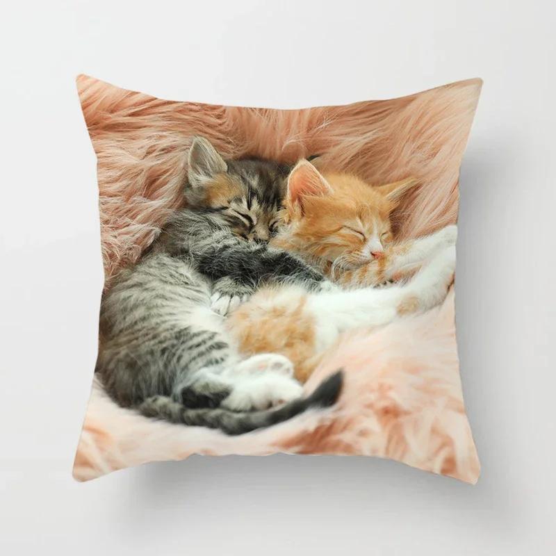 Home Decor Witchcraft Cat Stealing  Cushion Cover Cute  Sofa Car Decoration 45x45cm Pillowcase Square Polyester