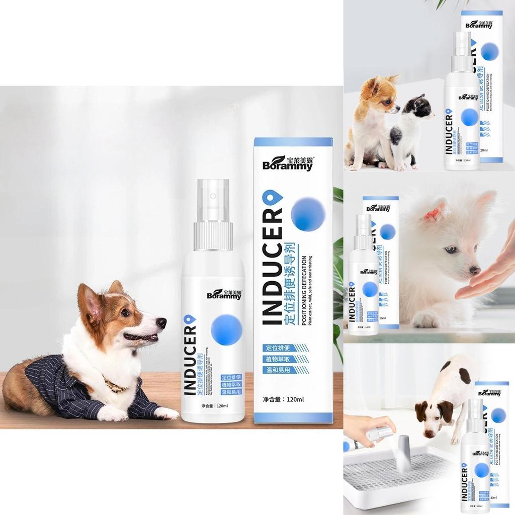 Effektives Stubenreinheitsspray für Hunde zur Standortführung für Urin und Kot