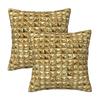 Gold 2 Pcs Square Pillowcase Pillow Cover Cushion Zip Decorative Comfort Throw Pillow For Home Bedroom
