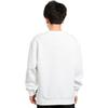 Li Ning Badminton Collection Sweatshirt Men's White AWDTD81-2