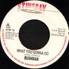 7-Zoll-Schallplatte BUSHMAN What You Gonna Do STR79 Stingray Record 2001 UK Reggae Ska Dub Gebraucht