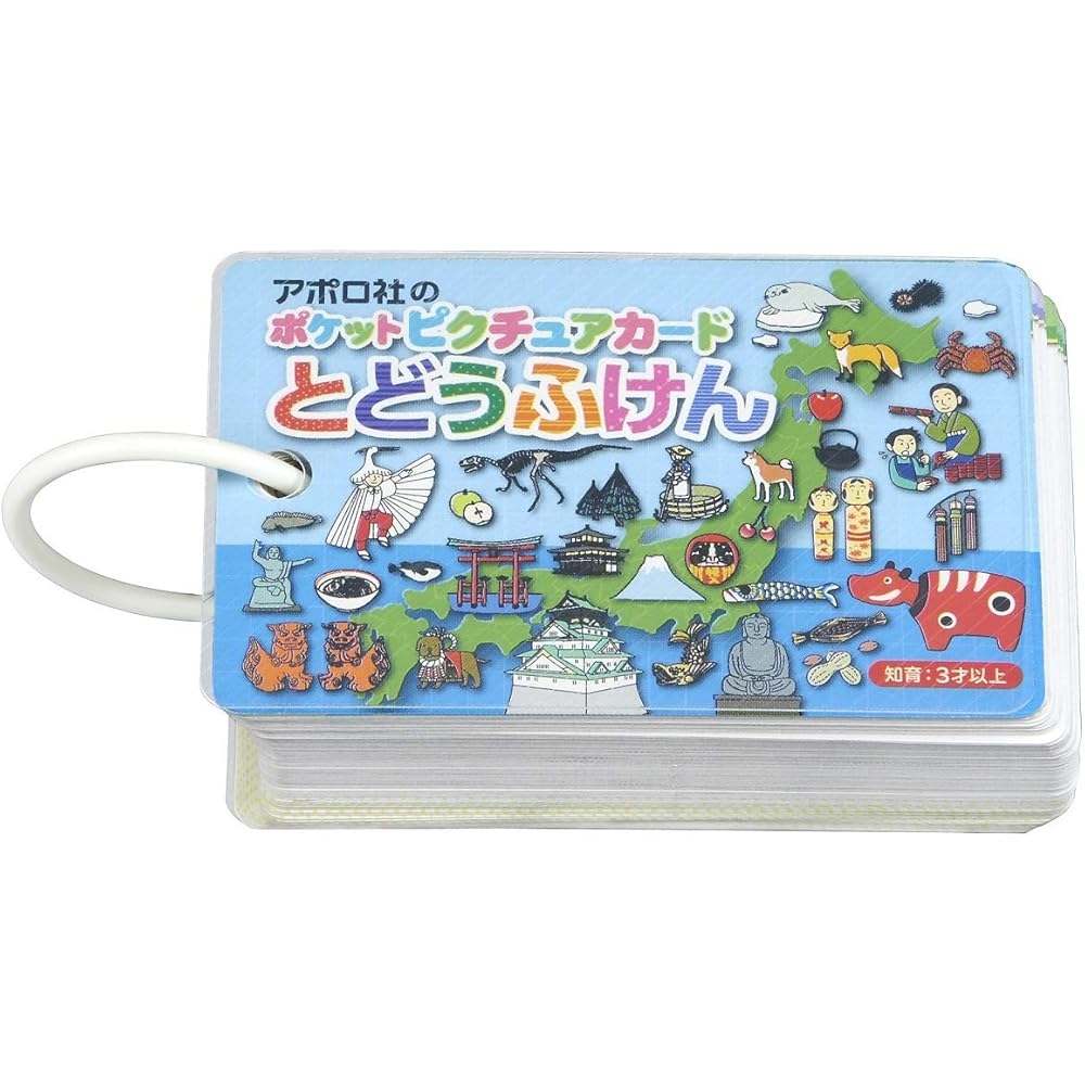 Epoch Pocket Picture Cards Toy with Ring and Transparent Cover for Ages 3 and Up