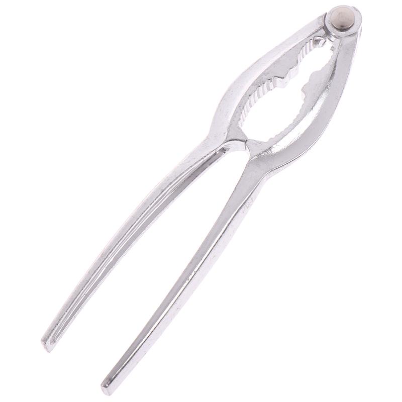 Καρυδιά καρυοθραύστη Καρυοθραύστης καρυδιάς Πένσα θρυμματισμένη με πεκάν