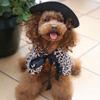 Dog clothes turned funny pet supplies cross-border hat cape set pet halloween costume