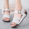 Ladies Non Slip Lightweight Platform Sandalias Mujer Casual Summer Shoe Women Wedge Sandals Fashion Hollow Cowhide Beach Sandals
