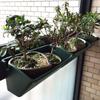 Wall-Mounted Flower Pot Plastic Hanging Plant Container Green Flower Pot Wall Hanging Basket Flower Vegetable Growing Container