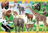 EPOCH Picture I Love Animals 9 Pieces Puzzle with Mount for Children Years Old and Over Toy ST Mark Certified [Apollo Puzzle] Creatures/Animals 25-177