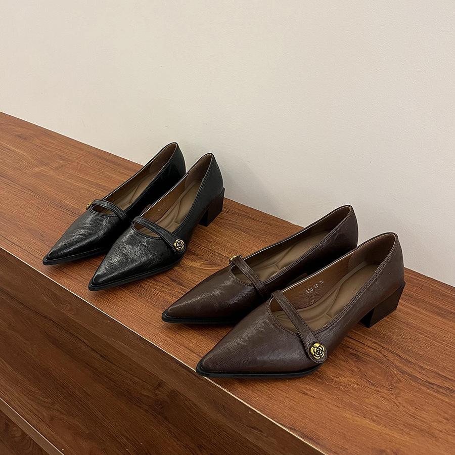 Pointed commuter shallow mouth single shoes women's spring and autumn retro casual thick heel fashion Mary Jane small leather shoes