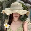 Sun Hat Summer New Seaside Sun Hat Sun Protection Folding Travel Big Brim Straw Hat Women's Beach
