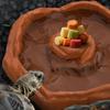 Tortoise Water Dish Reptile Bath Basin Anti-Slip Turtle Water Food Dish with Ramp for Aquarium Tank Terrarium for Gecko Snake