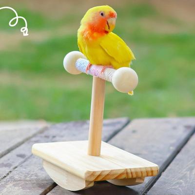 Tabletop Bird Stand Wood Shelf Training Cage Toy Gym for Conures