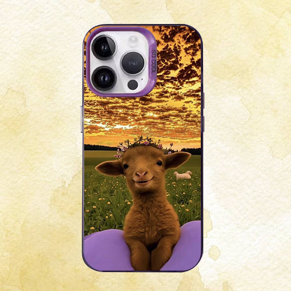 Funny Animals Case for iPhone 11 12 13 14 15 16 17 Pro Max XS X XR Cover