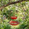 Large Capacity Heart Iron Bird Feeder Wide-Mouth Double-layer Bird Feeding Station Decorative Heavy Duty Hummingbird Feeder
