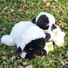 Cute Sheep Plush Toy With Pp Cotton Filling For Kids And Teens
