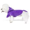 Halloween Dinosaur Transformation Dog Costume, Small Dog and Cat Pet Clothing