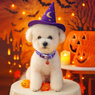 2025 Autumn and Winter Halloween Pet New Accessories Collar Cute Puppy Kitten Supplies Pumpkin Collar