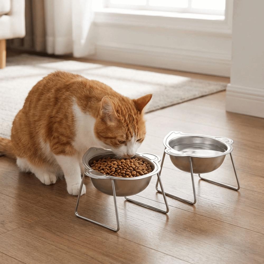 Stainless Steel Elevated Pet Bowl 15 Degree Inclined Pet Feeder Container  Wet Dry Food