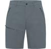 Шорты Jack Wolfskin Pico Trail Shorts Odessa Серый