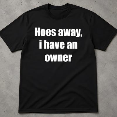 Hoes Away I Have An Owner T-Shirt, Cringy Shirts Gift, Gag Gifts Shirt, Offensive Womens Tee, Funny Offensive Shirts, Inappropriate Shirt