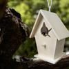 Wooden Bird House Wall Mounting For Small Birds Nice Bird Nest Designed With Perches Solid Birdhouse Weatherproof