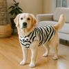 Cute Warm Winter Pet Sweater Thickened Fleece Cat Striped Vest Comfortable Windproof Pet Cotton Jacket for Cats and Dogs